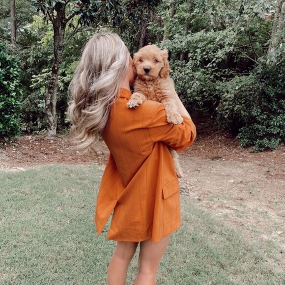 Danielle Bernstein Pinstriped Boyfriend Jacket - Picture 4 of 8